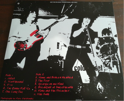 Cold Chisel – Live at St Leonard's Park