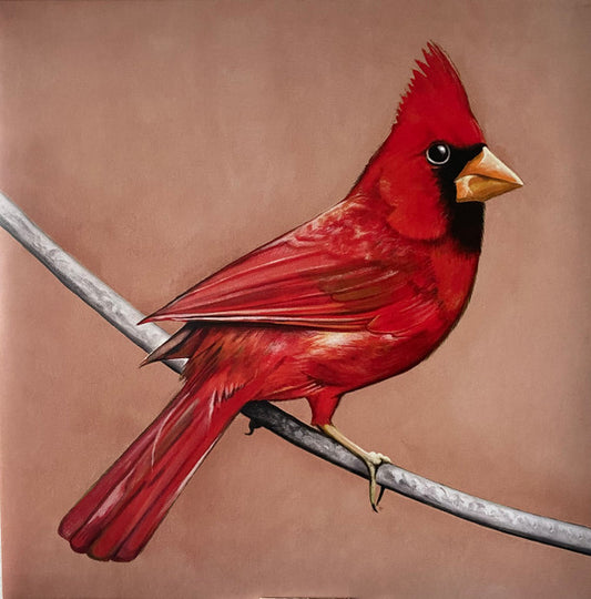 Alexisonfire – Old Crows / Young Cardinals