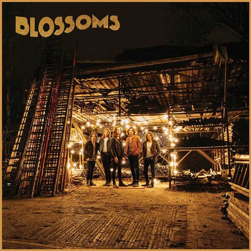 Blossoms – Blossoms