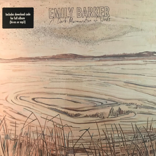 Emily Barker – A Dark Murmuration Of Words